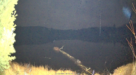Image from 2024-11-15