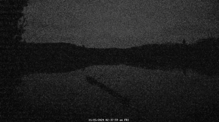 Image from 2024-11-15