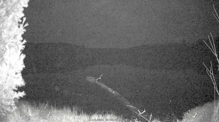 Image from 2024-11-15