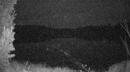 Image from 2024-11-15