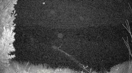 Image from 2024-11-15