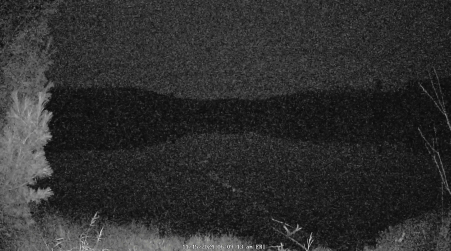 Image from 2024-11-15