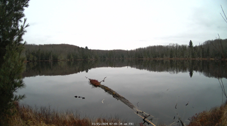 Image from 2024-11-15