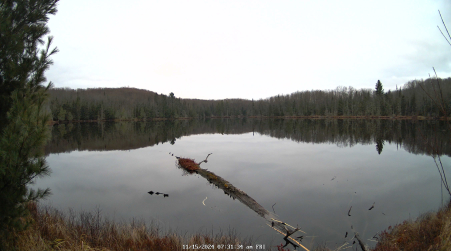 Image from 2024-11-15
