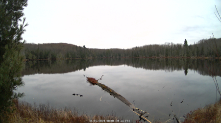 Image from 2024-11-15