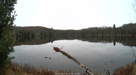 Image from 2024-11-15