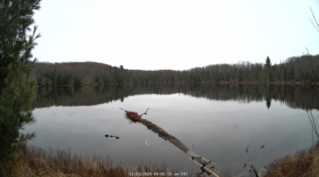 Image from 2024-11-15