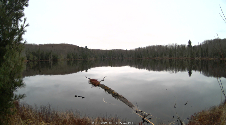 Image from 2024-11-15