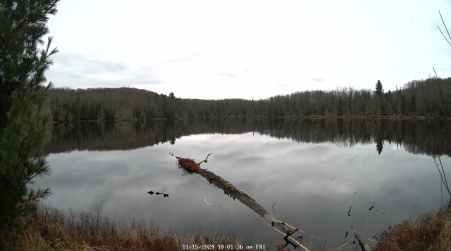 Image from 2024-11-15