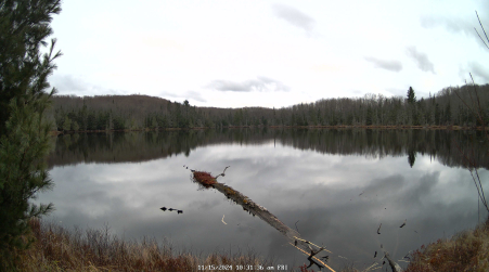 Image from 2024-11-15