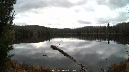Image from 2024-11-15