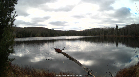 Image from 2024-11-15