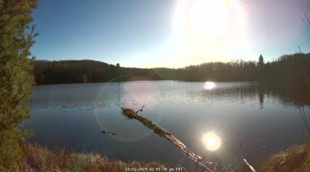 Image from 2024-11-15