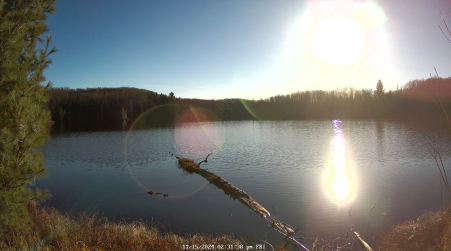 Image from 2024-11-15