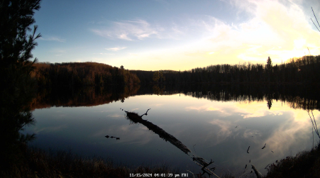 Image from 2024-11-15