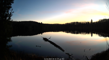 Image from 2024-11-15