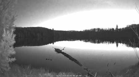 Image from 2024-11-15