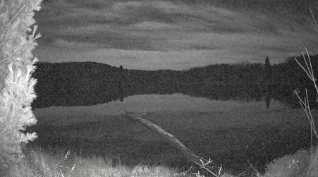 Image from 2024-11-15