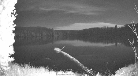 Image from 2024-11-16