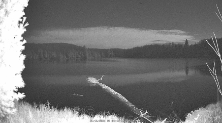 Image from 2024-11-16
