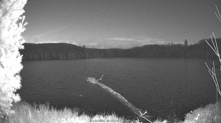 Image from 2024-11-16