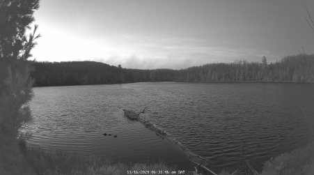 Image from 2024-11-16