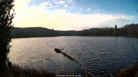 Image from 2024-11-16