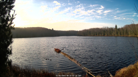 Image from 2024-11-16