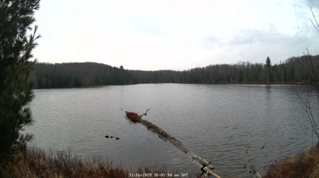 Image from 2024-11-16