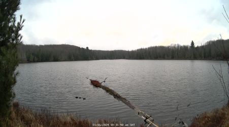 Image from 2024-11-16