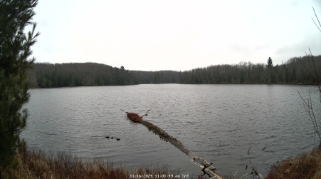 Image from 2024-11-16