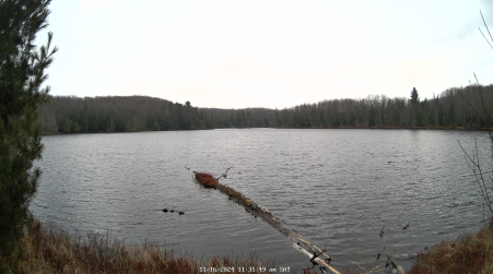 Image from 2024-11-16
