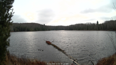 Image from 2024-11-16