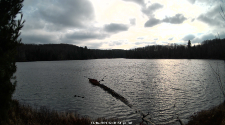 Image from 2024-11-16