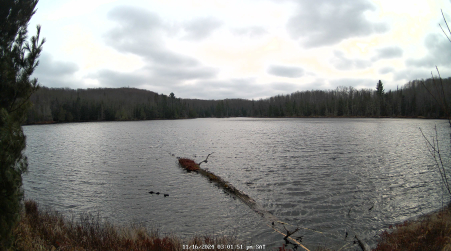 Image from 2024-11-16