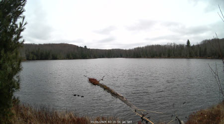 Image from 2024-11-16