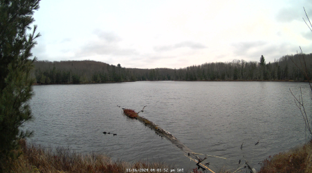 Image from 2024-11-16