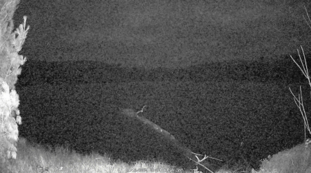 Image from 2024-11-16