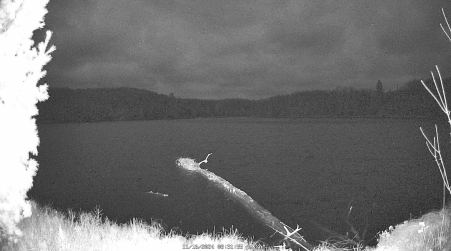 Image from 2024-11-16