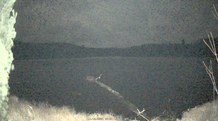 Image from 2024-11-16