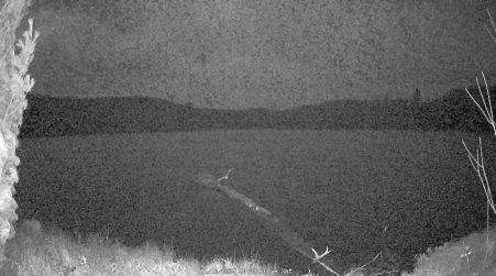 Image from 2024-11-16