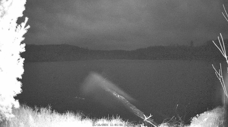 Image from 2024-11-16