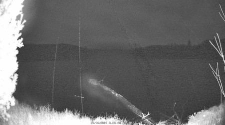 Image from 2024-11-16