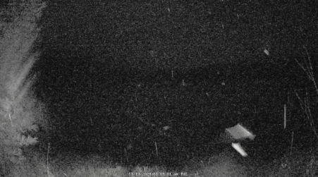 Image from 2024-11-19