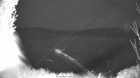 Image from 2024-11-19
