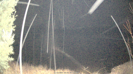 Image from 2024-11-19