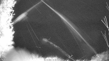 Image from 2024-11-19