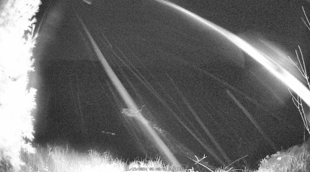 Image from 2024-11-19