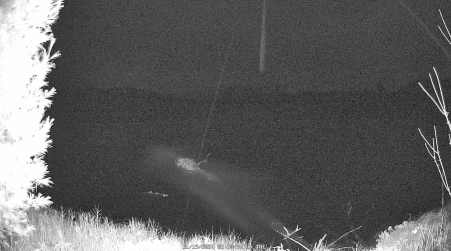 Image from 2024-11-19