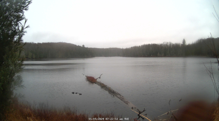 Image from 2024-11-19